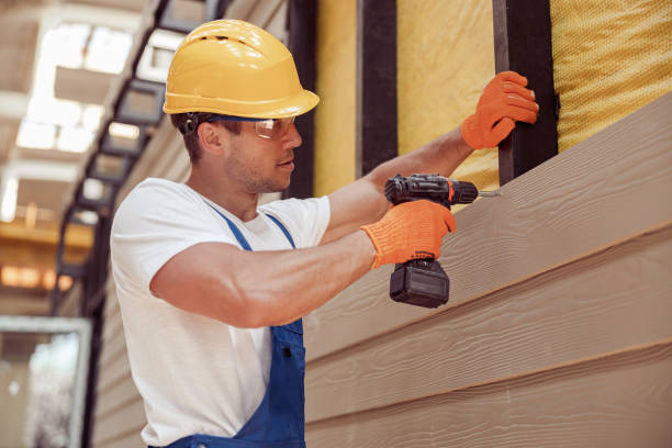 Best Vinyl Siding Installation  in Ridge Wood Heights, FL