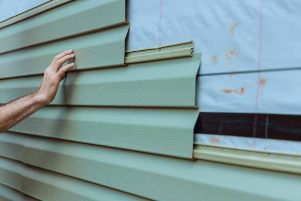 Best Brick Veneer Siding  in Ridge Wood Heights, FL